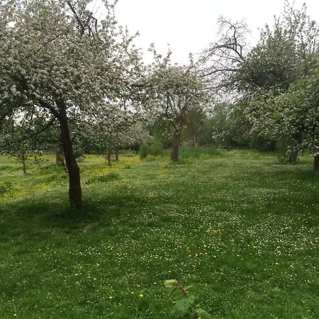 Dichterhaus Daire Dresden