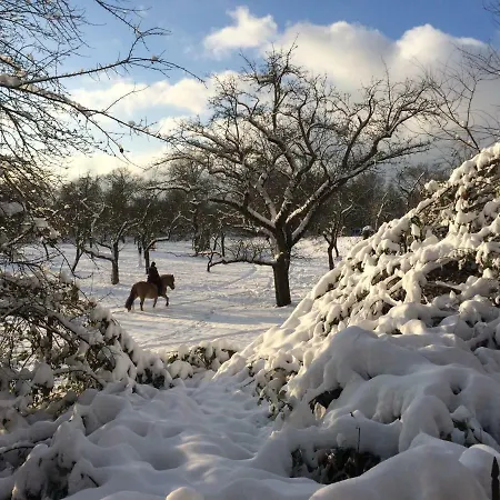 Dichterhaus * Drezno