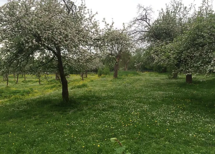 Dichterhaus Daire Dresden