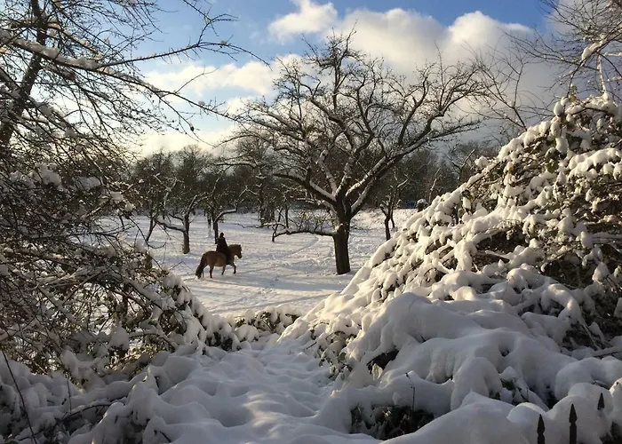 Dichterhaus * Дрезден